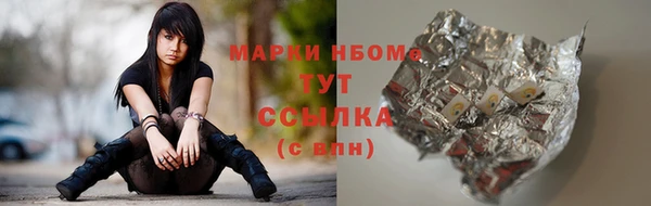 хмурый Елизово