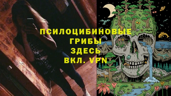 прущая мука Ельня