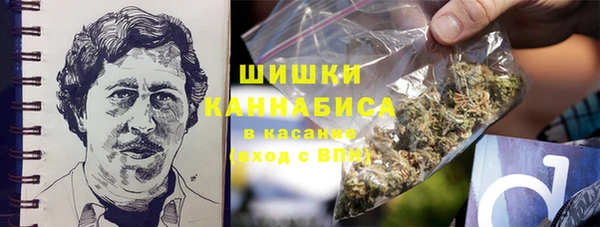 молекула духа Заволжск