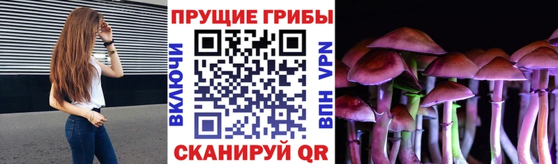 Псилоцибиновые грибы Psilocybine cubensis купить Керчь